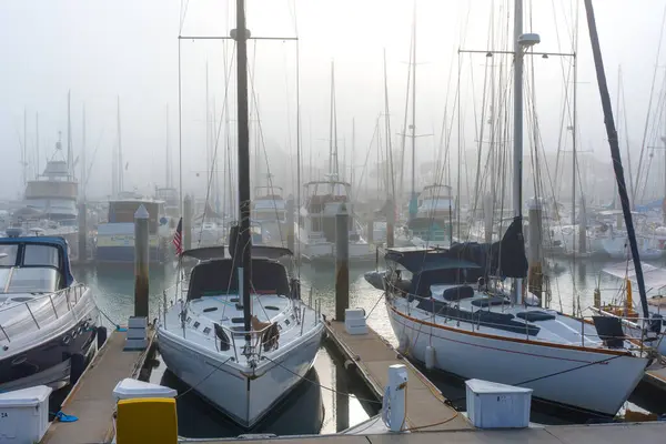 Oceanside, California - 3 Ocak 2025: Okyanus kıyısında sisli bir sabah boyunca demirlemiş yelkenlilerin sakin manzarası, suyun dinginliğini ve yumuşak ışıklandırmayı yakalıyor.