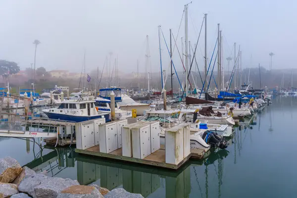 Oceanside, California - 3 Ocak 2025: Oceanside, California 'da geniş açılı çekilen ve sabah sisinde gizlenmiş birden fazla tekne ve depolama dolaplarının bulunduğu bir marina manzarası.