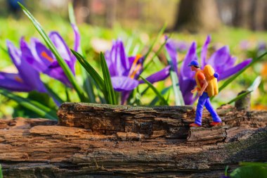 Sırt çantalı bir turistin minyatür heykelciği devrilmiş bir ağacın üzerinde, çiçek açmış timsahlarla çevrili, hayattaki engelleri aşma yolculuğunu simgeliyor..