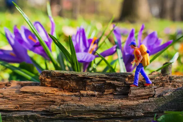 Sırt çantalı bir turistin minyatür heykelciği devrilmiş bir ağacın üzerinde, çiçek açmış timsahlarla çevrili, hayattaki engelleri aşma yolculuğunu simgeliyor..