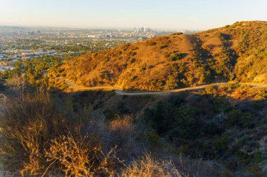Runyon Canyon Parkı 'ndaki yürüyüş sırasında, altın tepeler ve günbatımında geniş Los Angeles silueti arasında dolambaçlı bir yol gösteren nefes kesen manzara..