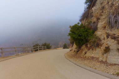 Sis ile çevrili Runyon Canyon Parkı boyunca kıvrımlı patikalar Los Angeles 'taki parkın doğal güzelliğini ve dingin atmosferini gözler önüne seriyor..