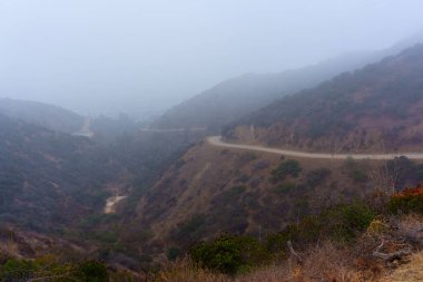 Runyon Canyon Park, Los Angeles 'taki sisli tepelerde dolambaçlı patikaların manzarası bulutlu bir günde doğal manzarayı sergiliyor..