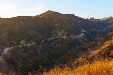 Los Angeles, Kaliforniya 'daki Runyon Canyon Parkı' nda, bereketli tepeler ve sıcak gün batımı ışığı ile çevrili gezen yürüyüşçülerin manzaralı manzarası..