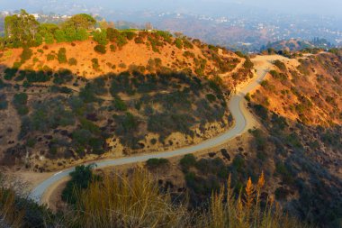 Los Angeles Runyon Canyon Parkı 'nda dolambaçlı yürüyüş yolu, engebeli arazi, yemyeşil bitki örtüsü ve altın saat altında yükseltilmiş manzaralar..