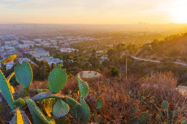 Gün batımında Runyon Canyon Parkı 'ndan Los Angeles' ın panoramik görüntüsüne hayran olan iki yürüyüşçü, canlı manzarayı ve kentsel ufku gözler önüne seriyor..