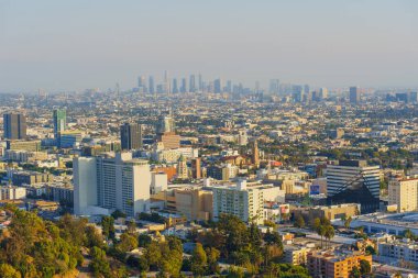 Los Angeles, Kaliforniya - 28 Kasım 2024 Los Angeles 'ın gökdelenlerini, caddelerini ve ağaçlarını Runyon Canyon Kanyonu' nun yükseltilmiş görüş noktasından görüntüleyen sıkı hava görüntüleri.