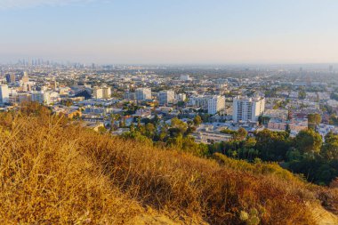 Los Angeles, Kaliforniya - 28 Kasım 2024: Runyon Canyon Parkı 'nın zirvesinden çekilen geniş açılı Los Angeles şehir manzarası kentsel binalar ve yemyeşil alanlar.