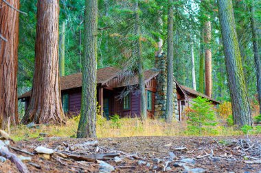 Sequoia Ulusal Parkı 'ndaki yüksek sekoya ağaçlarının arasına yerleşmiş kırsal kulübe bu eşsiz orman ortamının doğal güzelliğini ve sükunetini gözler önüne seriyor..
