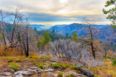 Sequoia Ulusal Parkı 'nın geniş açılı manzarası sonbahar yapraklarını, kayalık araziyi ve yumuşak, puslu bir gökyüzünün altındaki uzak sıradağları gösteriyor..