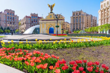 Kyiv, Ukrayna - 22 Nisan 2025: Kyiv 'de güneşli bir bahar gününde Meydan Nezalezhnosti' deki başmelek Michael heykeli ve Lyadsky Kapısı 'nı çevreleyen renkli laleler.