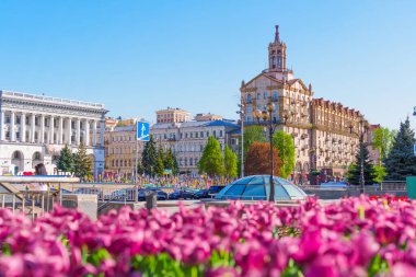 Kyiv, Ukrayna - 22 Nisan 2025: Kyiv 'deki açık mavi gökyüzü altında çiçek açan laleler, tarihi mimari ve anma bayraklarının yer aldığı Meydan Nezalezhnosti' nin renkli görünümü.