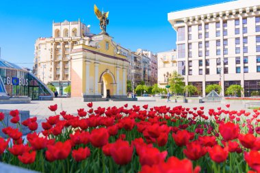 Kyiv, Ukrayna - 22 Nisan 2025: Meydan Nezalezhnosti 'nin arka planında ikonik Lach Geçidi Anıtı ve modern mimarisi ile ön planda açan lalelerin parlak ve renkli manzarası.
