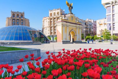 Kyiv, Ukrayna - 22 Nisan 2025: İkonik Bağımsızlık Meydanı simgesi ve Ukrayna 'nın modern binalarıyla birlikte açık mavi gökyüzü altında canlı kırmızı laleler.