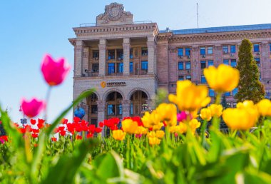 Kyiv, Ukrayna - 22 Nisan 2025: Kyiv 'in merkezi Meydan Nezalezhnosti' deki ikonik Ukrposhta binasının önünde bahar laleleri çiçek açtı