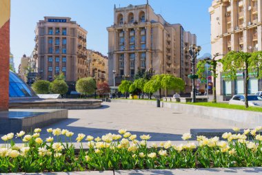 Kyiv, Ukrayna - 22 Nisan 2025: Kyiv 'deki Meydan Nezalezhnosti' de güneşli bir bahar günü, arka planda çiçek açan laleler ve tarihi mimari yer alıyor.