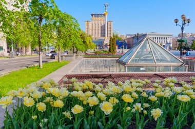 Kyiv, Ukrayna - 22 Nisan 2025: Arka planda Bağımsızlık Anıtı, Otel Ukrayna ve Konservatuar binası ile ön planda renkli lalelerin geniş açılı görünümü.