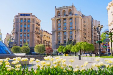 Kyiv, Ukrayna - 22 Nisan 2025: Kyiv Meydan Nezalezhnosti 'de canlı bir bahar günü, açık mavi gökyüzü altındaki tarihi binalara karşı ön planda çiçek açan laleler sergileniyor..