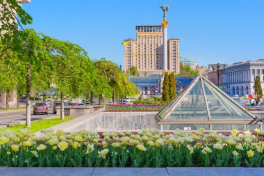 Kyiv, Ukrayna - 22 Nisan 2025: Meydan Nezalezhnosti 'nin renkli görüntüsü çiçek açan laleler, modern mimari ve gün ışığında yakalanan ikonik anıt.