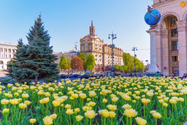 Kyiv, Ukrayna - 22 Nisan 2025: Geniş açılı çekim Globus Anıtı önünde çiçek açan sarı laleleri ve ilkbaharda Meydan Nezalezhnosti Merkez Postane binasını ele geçirme.