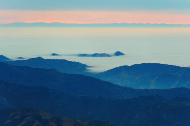 Sequoia Ulusal Parkı 'nın yüksek bir noktasından nefes kesici manzara, şafak vakti sisli bir denizle kaplanmış katmanlı dağ sıralarını gözler önüne seriyor..
