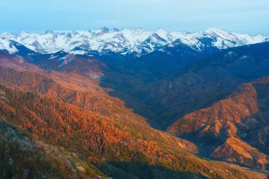 Sequoia Ulusal Parkı 'nın canlı sonbahar yaprakları. Gün batımında açık bir gökyüzünün altında görkemli kar örtülü zirveler tarafından çerçevelenmiş..