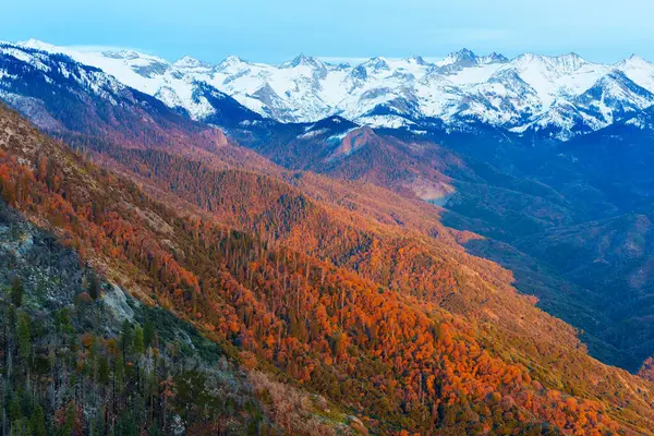 Sequoia Ulusal Parkı, Kaliforniya 'nın canlı sonbahar yaprakları, alacakaranlık sırasında açık bir gökyüzü altında görkemli kar örtülü zirveler tarafından çerçevelenmiştir..