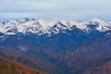 Sequoia Ulusal Parkı 'nda altın saat boyunca canlı sonbahar yapraklarıyla çevrili karla kaplı dağların nefes kesici manzarası..