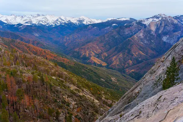 Sequoia Ulusal Parkı 'ndaki nefes kesici vadinin geniş açılı görüntüsü, altın saat boyunca karlı zirveler ve canlı sonbahar yaprakları sergileniyor..