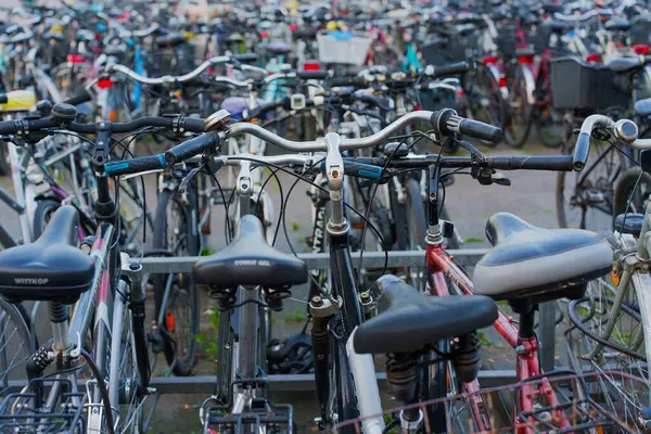 Heidelberg, Almanya - 21 Haziran 2025: Yoğun bir şekilde dolu bisiklet parkı, gün boyunca çeşitli bisiklet türlerini gösteren, parlak, doğal ışıklandırma.