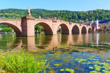 Heidelberg 'deki tarihi köprü, yemyeşil tepeler ve sudaki yansımalarla Neckar Nehri boyunca uzanır..