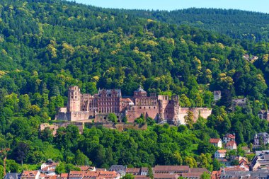 Heidelberg Kalesi 'nin panoramik manzarası, güneşli bir günde canlı yeşillikler ve ormanlarla dolu bir tepeye tünemişti..