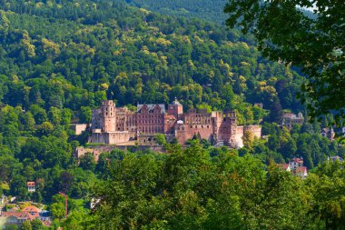 Heidelberg Şatosu güneşli bir günde yoğun yeşil ormanlarla çevrili bir tepeye tünemişti..
