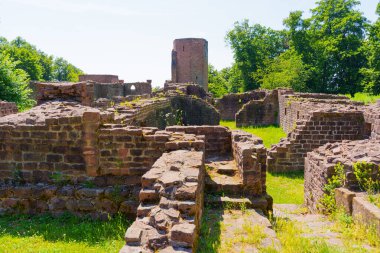 Heidelberg 'deki St. Michael Manastırı' nın taş kalıntıları. Parlak gün ışığında yeşilliklerle çevrili..