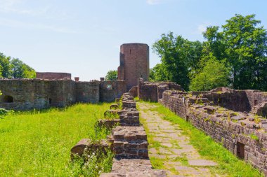 Almanya 'nın Heidelberg şehrinde açık mavi gökyüzünün altında yeşil çimlerle çevrili Aziz Michael Manastırı' nın taş kalıntıları..