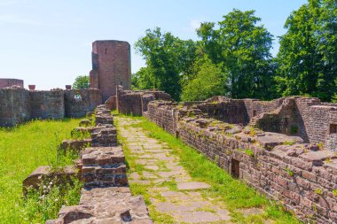 St. Michael Manastırı 'nın harabelerinin geniş açılı görüntüsü, Almanya' nın Heidelberg kentindeki yeşilliklerle çevrili taş yapılar sergileniyor..
