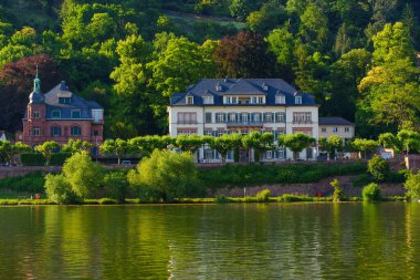 Bereketli yeşilliklerle çevrili Neckar Nehri 'nin yanındaki büyüleyici villaların manzarası Heidelberg' de gün ışığında çekildi..