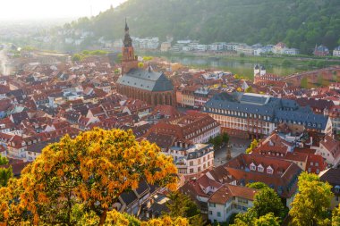 Heidelberg 'in Eski Kasabası' nın havadan görünüşü ve sabah sıcacık ışıklarıyla yıkanan bir kilise çatıları ve manzaralı nehir manzarası..