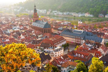 Almanya 'nın Heidelberg kentinin tarihi binalarını ve çatılarını gösteren detaylı hava görüntüleri. Arka planda Neckar Nehri ve yemyeşil tepeler var..
