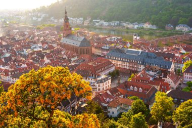 Heidelberg 'in Eski Şehir' inin çarpıcı hava manzarası. Tarihi mimarisi ve canlı çatıları yumuşak sabah ışığı altında sergileniyor..