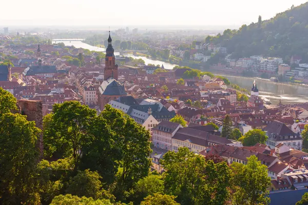 Heidelberg, Almanya 'nın panoramik manzarası, tarihi binaların ve nehrin günbatımında sergilenmesi.
