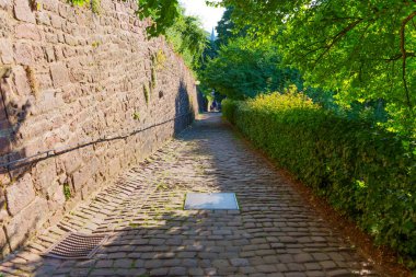 Taştan bir duvar ve canlı yeşilliklerle çevrili dar kaldırım taşı yolu, Almanya 'nın Heidelberg kentindeki huzurlu bir alana çıkıyor, güpegündüz ele geçirildi..