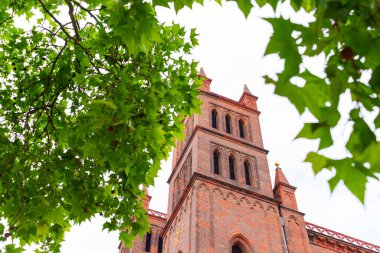 Berlin, Almanya - 1 Haziran 2025: Canlı yeşil yapraklarla çerçevelenmiş Friedrichswerder Kilisesi 'nin tuğla kulesinin yakın görüntüsü.