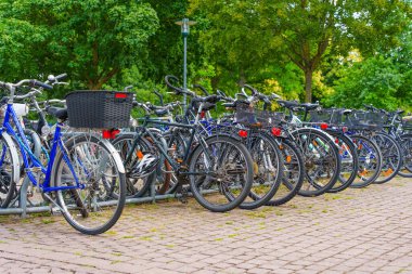 Darmstadt, Almanya - 16 Haziran 2025: Darmstadt, Almanya 'da yemyeşil alanlarla çevrili çeşitli bisikletlerle dolu bisiklet park alanı, canlı bir kentsel atmosfer yaratıyor.