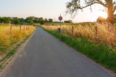 Uzun otlar ve ağaçlarla çevrili, gün batımının sıcacık parıltısıyla aydınlanan sakin bir kır yolunun manzarası huzurlu bir atmosfer yaratıyor..