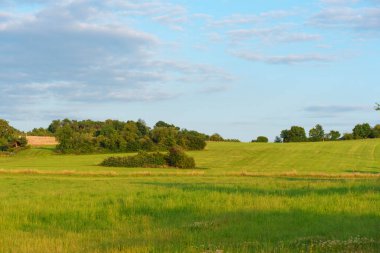 Geniş yeşil tarlalar, engebeli tepeler ve seyrek ağaçlar, Almanya 'nın Rossdorf şehrinde gün ışığıyla aydınlatılmış, sükunet ve doğal güzelliği iletiyor..