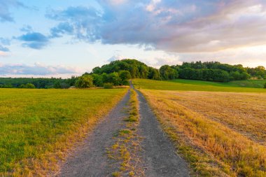 Parlak yeşil ve altın çayırlarda uzanan dingin yol, Almanya 'daki yemyeşil ağaçlar tarafından çerçevelenmiş renkli bir günbatımı gökyüzünün altında..
