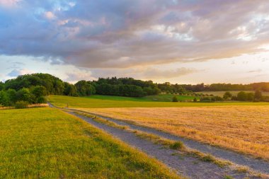 Rengarenk bir günbatımı gökyüzünün altında, yeşil ve altın otların arasından geçen kirli bir patikanın manzarası..