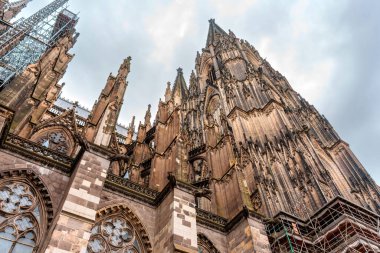 Köln, Almanya - 15 Haziran 2025: Köln Katedrali 'nin karmaşık Gotik mimarisine yakından bakmak, gökyüzüne karşı iskele ve restorasyon çalışmaları sergiliyor.
