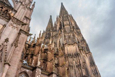 Köln, Almanya - 15 Haziran 2025: Köln Katedrali 'nin karmaşık Gotik kuleleri ve ön cephesi, süslü taş işleri, yüksek yapılar ve kasvetli bir gökyüzü.